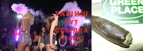 ГАЛЛЮЦИНОГЕННЫЕ ГРИБЫ Ельня