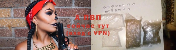 ГАЛЛЮЦИНОГЕННЫЕ ГРИБЫ Ельня