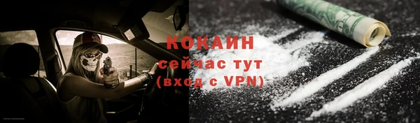 ГАЛЛЮЦИНОГЕННЫЕ ГРИБЫ Ельня