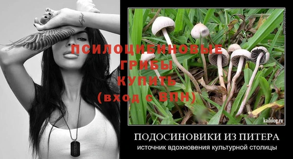 соль курить ск Заводоуковск