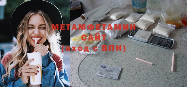 ГАЛЛЮЦИНОГЕННЫЕ ГРИБЫ Ельня