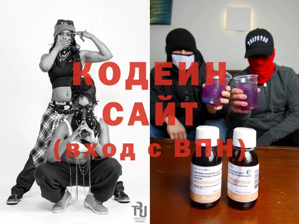 ГАЛЛЮЦИНОГЕННЫЕ ГРИБЫ Ельня