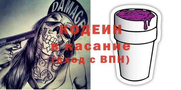 ГАЛЛЮЦИНОГЕННЫЕ ГРИБЫ Ельня