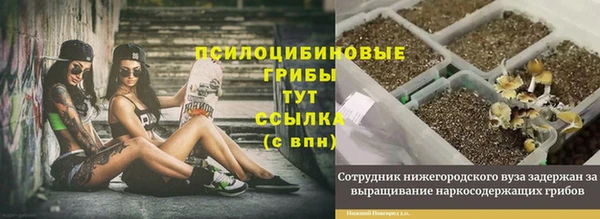 соль курить ск Заводоуковск