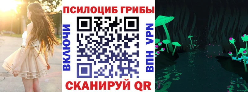 Псилоцибиновые грибы мухоморы  Купить закладки  Курильск 
